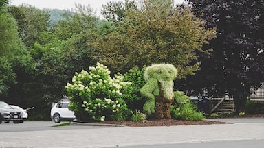 Also beside Chantal Steak house is this little garden dweller. Blink and you may miss him. 