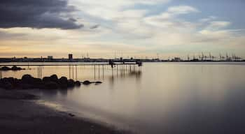 Come to Infinity bridge in Aarhus and chill out with friends or family at sunset.