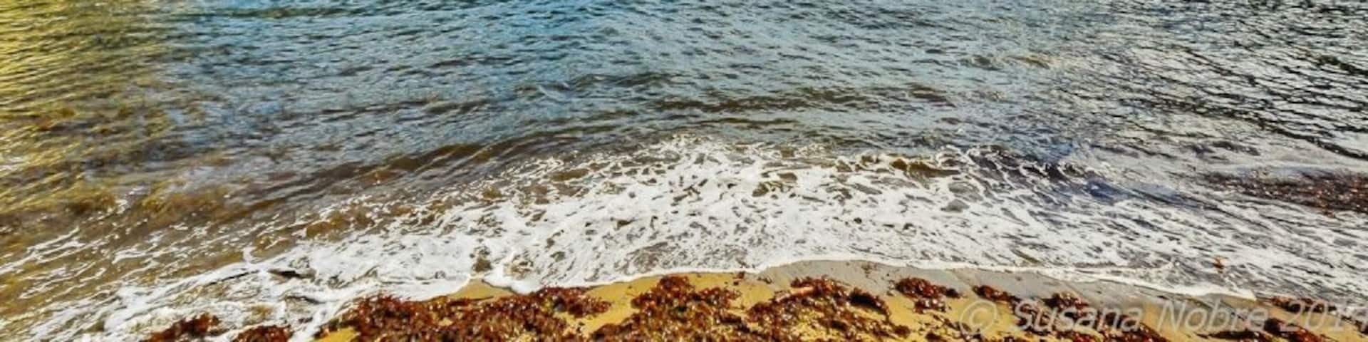 Readymoney Cove is a south-east facing sandy beach to the south of the harbour town of Fowey. It is sheltered by cliffs close to the mouth of the River Fowey Estuary and bounded, on one side, by the medieval town of Fowey and, on the other, by St Catherine's Castle.  The beach can be covered during spring tides. The beach is cleaned daily during high season, and a bathing platform is moored in the bay. 
#Fowey #Cornwall #waterlust #beach #southengland #outdoors #landscapes #England #placestovisit