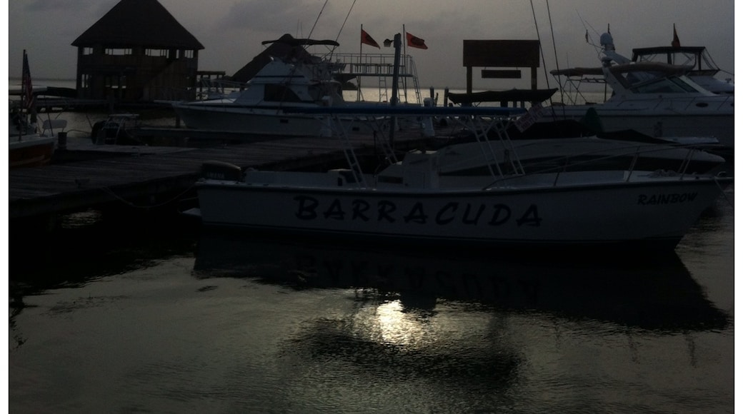 Foto oleh CLAUDIA BAL 🌻