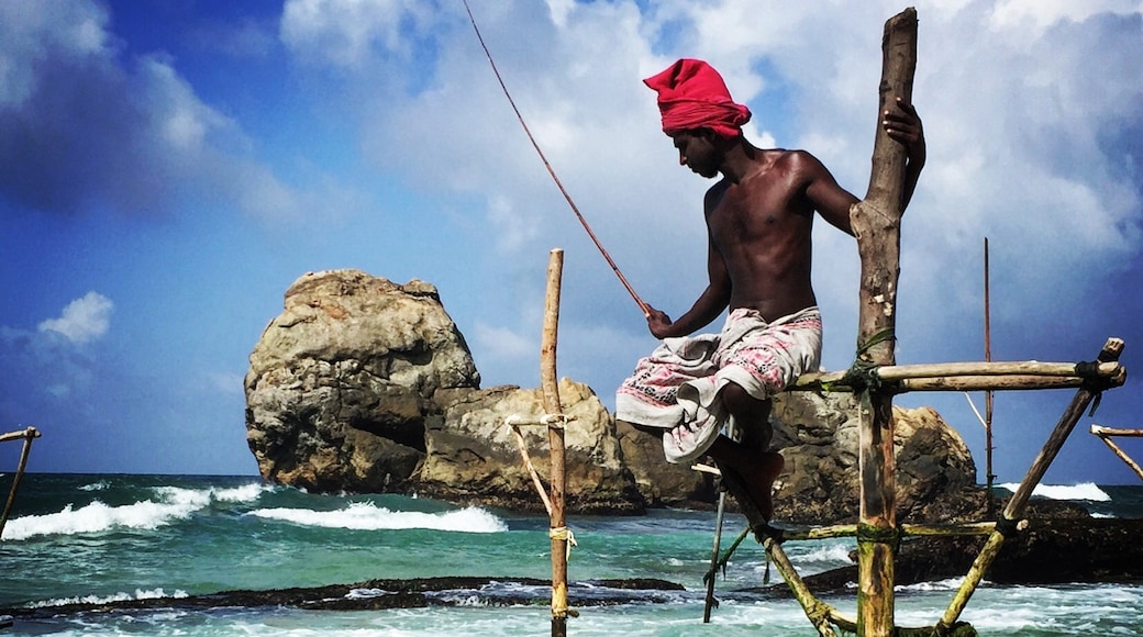 Stilt Fisherman, Koggala, Southern Province, Sri Lanka