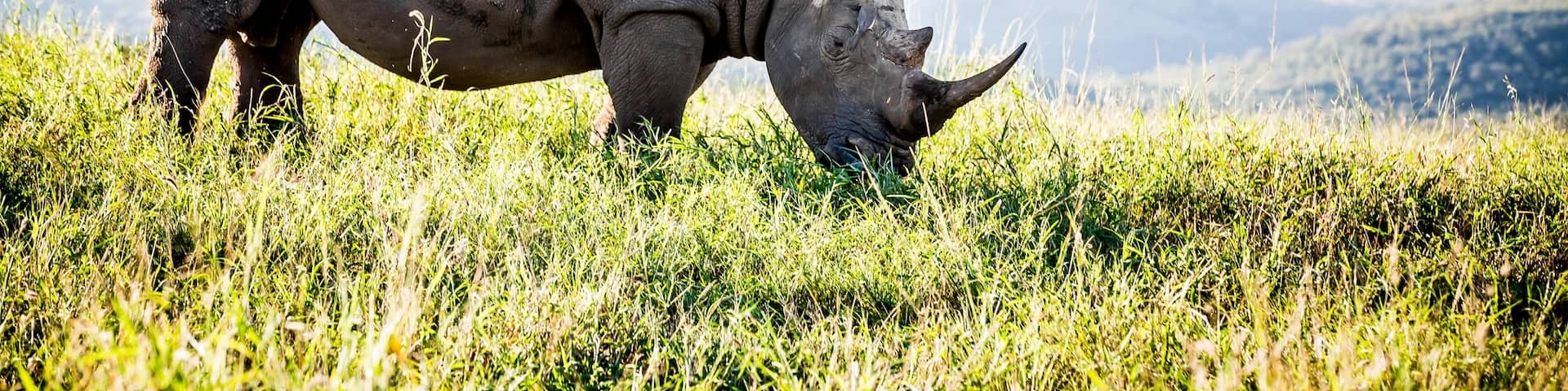 Machibini, KwaZulu-Natal, South Africa