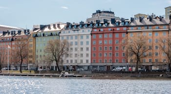 Karlbergskanalen is surrounded by trees and green spaces. Much of the character of the northern shore is dependent of the park of the nearby Karlberg Palace and the recreational space surrounding it. 