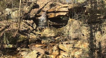 Visit Frugal Family Travelers blog to learn more about this great location, to receive the travel itinerary and to discover more great places like this:

Boulder Hills Natural Area

http://www.frugalfamilytravelers.blogspot.com/2016/02/4-outdoor-jewels-in-alabama.html

Follow us on:

Facebook: https://www.facebook.com/frugalfamilytravelers

Twitter: @FrugalFamTrav
