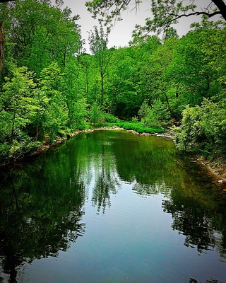 Love this place. It's so peaceful and quite and the trails make you feel like you're lost in ferngully #green