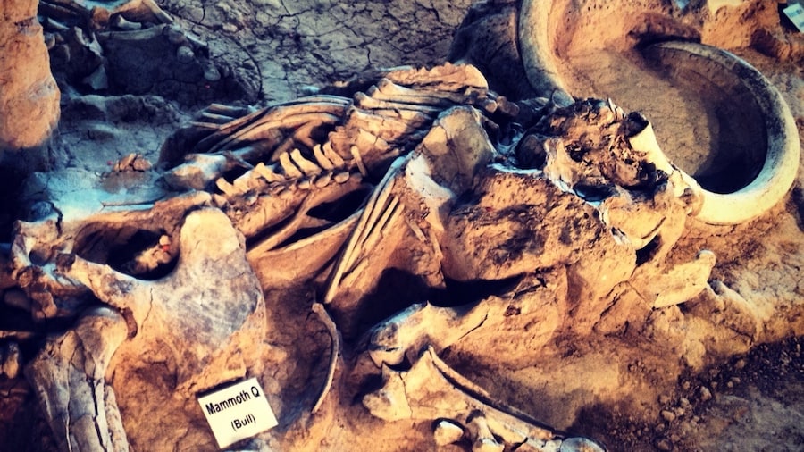 Monumento Nacional Mamut de Waco