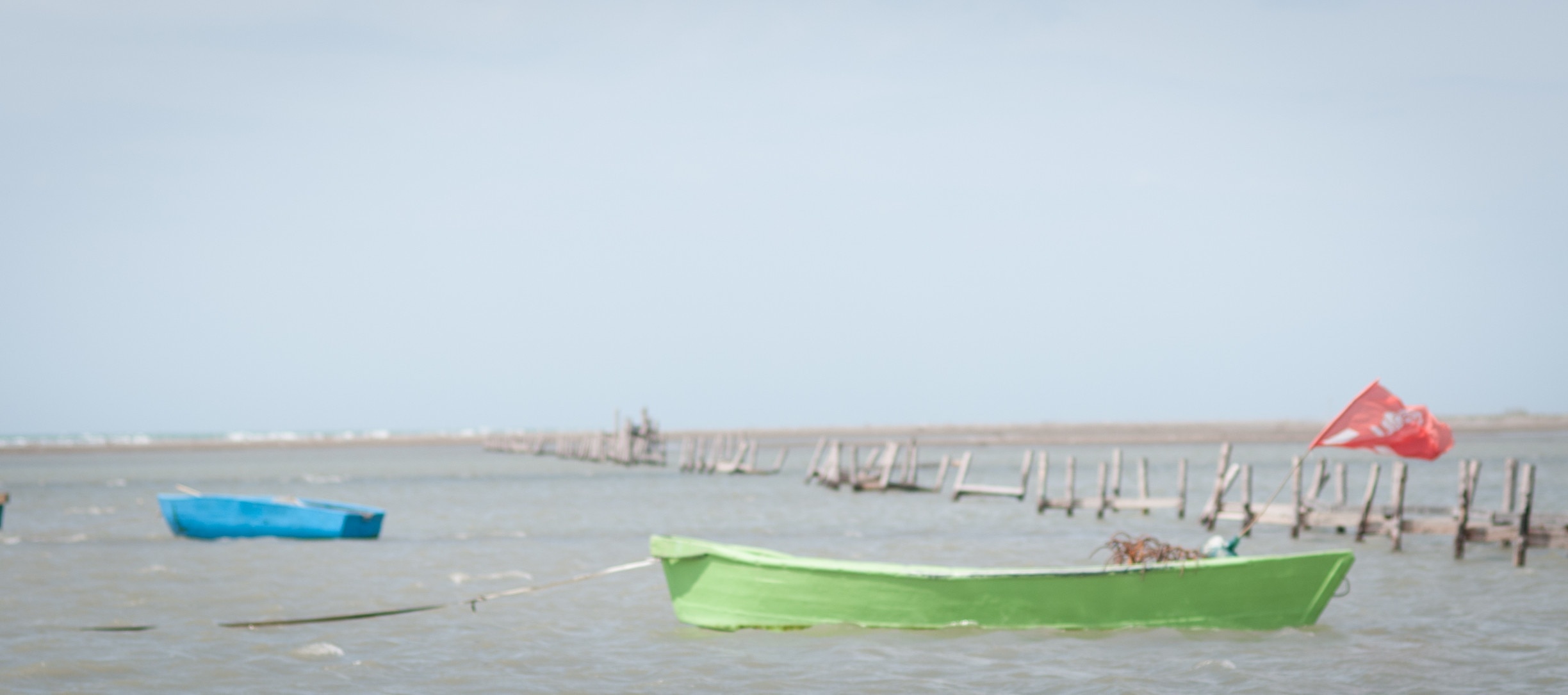 Beaches in Fier 