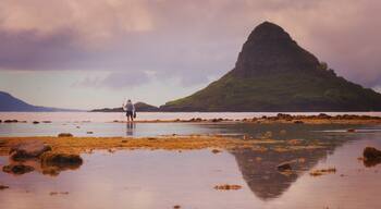 Mokoli’i Island or AKA Chinaman’s Hat is an iconic spot in Hawaii.  Jurassic movie was featured here.  On a very nice day, low tide, you can paddle or kayak to the island and take a hike to the top.  Be careful though when you explore this island as the current is strong or tide can change.
#nature