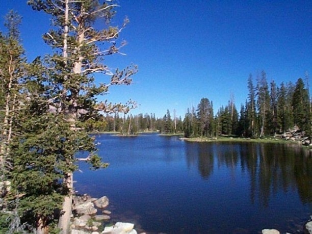 Visit Hanna 2021 Travel Guide for Hanna, Utah Expedia