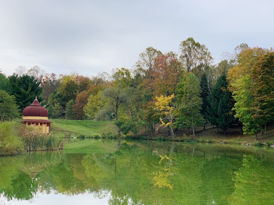 Close to nature and very therapeutic mentally. A must visit place if you are in West Virginia #trovember #outdoors #nature #freshair #fallcolors