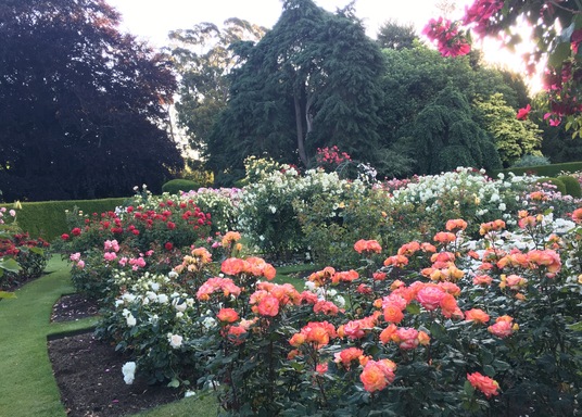 Christchurch, Nueva Zelanda