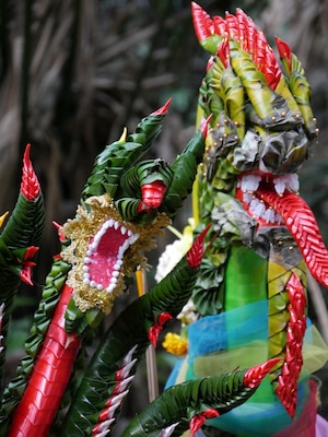 Naga offerings at Kamchanod temple and forest reserve. The forest is reputedly the home of the underground Kingdom of the Phaya Naga. During the festival of Bang Fai Phaya Naga celebrated at the end of Buddhist Lent every year, the nagas breathe fireballs that rise from the bottom of the Mekong River. People come to the Kamchanod temple to leave offerings to the Nagas for blessing in the coming year. #green