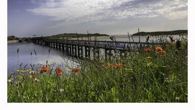 the spring flowers present an enticing gateway to the beach