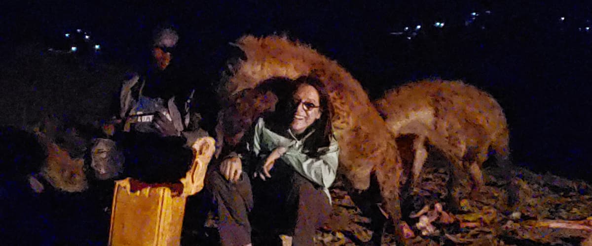 Playing with hyenas.
#trovember
#Trovember Photo Contest
#Adventure Photo Contest
Wanderer