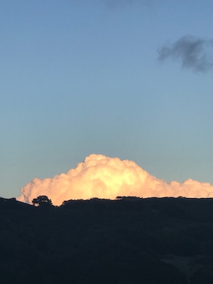 Los Trancos open space preserve!