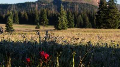 75 Car Rental Eagle County Regional Airport Gypsum Ege Expedia