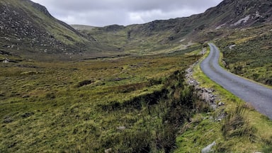 The desolate, narrow and scenic roads make Ireland is one of the best places to go on a road trip with your friends.
#explore #roadtrip #donegal #ireland