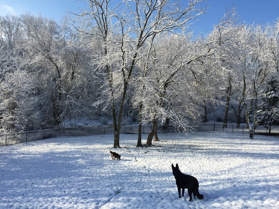 Winter Wonderland on the first day of Spring!