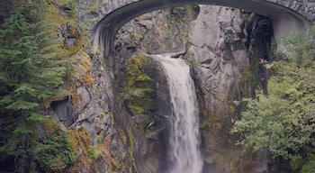 On our way to Mt Rainier, many a wonders along the road, the water here is sacred and shapes the mountain each day, for thousands of years... Mt Tahoma/ Mt Rainier. #AquaTrove 