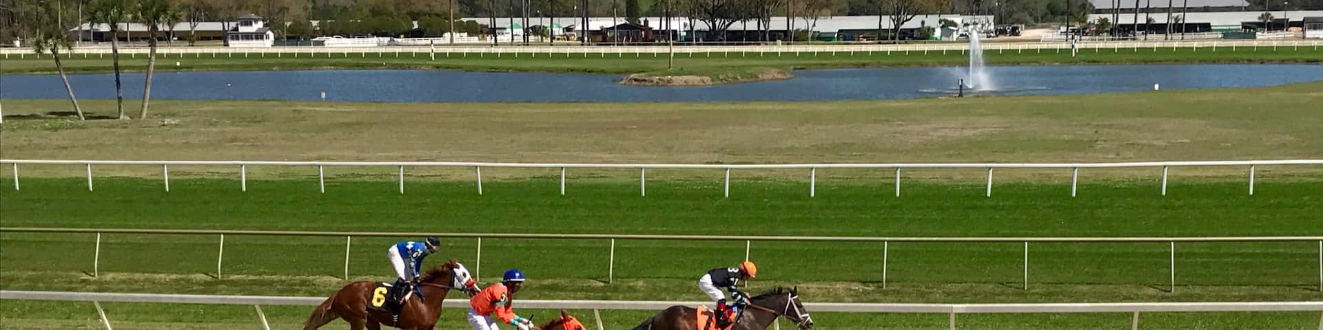 Spring is racing season, so grab your hat, sunglasses and lucky charm and head to the tracks! Bet on your favorite # and see what happens 😉👒🐎 #SpringFun