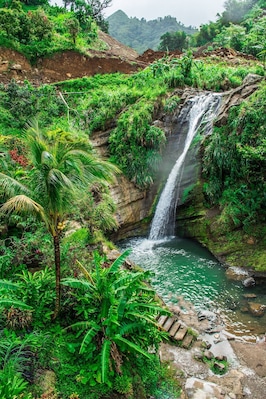 We took some time to go inland on the Island of Grenada. Unlike many topical islands that are more of a desert landscape Grenada has a lush tropical landscape. It is easy to find pineapple growing on the sides of the roads. There are so many beautiful waterfalls as you start to make your way up into the forest area!