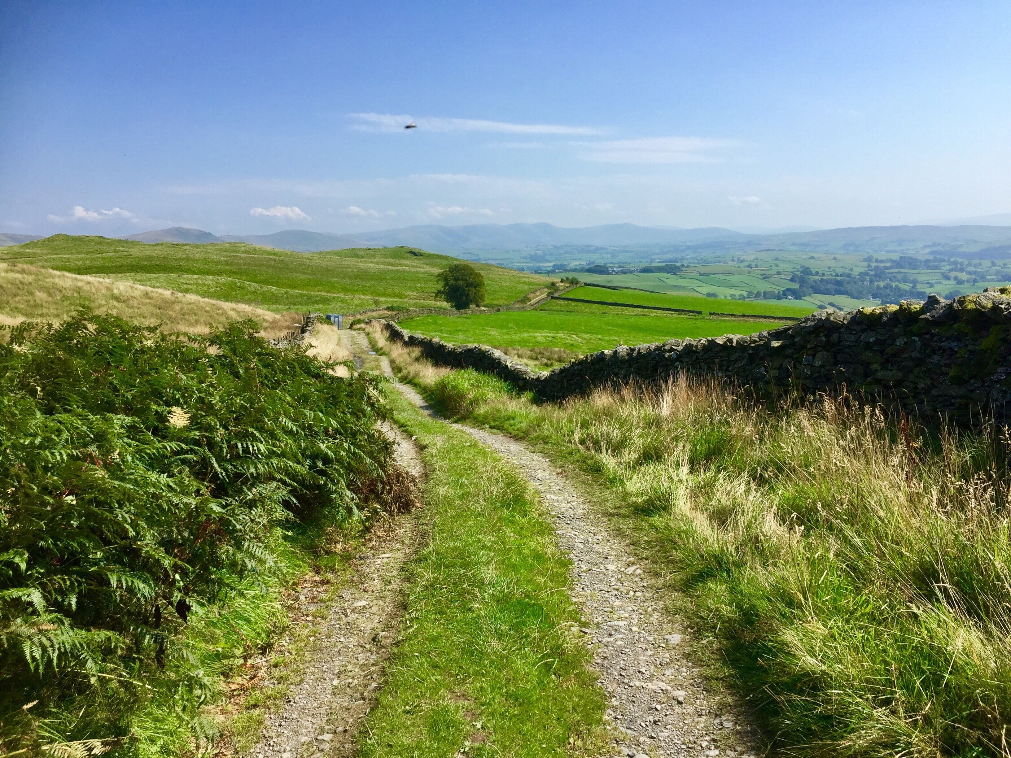 Foto av Kathy Appleby