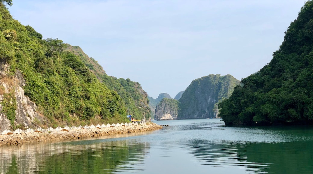 Teluk Lan Ha, Hai Phong, Vietnam