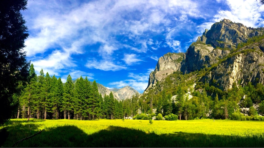 Zumwalt Meadow