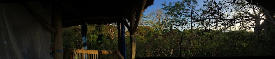 Paradise