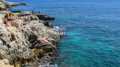 During our 9-day stay in Croatia, we spent a few days in the region of Pula, where we took a day trip to an awesome place on the coast called Kamenjak (pronounced "Kahm-en-yahk". Dotted with layered rocks that step into the ocean, this spot is prime for snorkeling and cliff jumping.

#beaches
#croatia
#travel
#lifeatexpedia
#blue