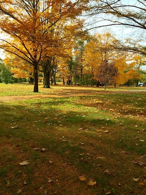 This park is huge .. Many trails to explore!