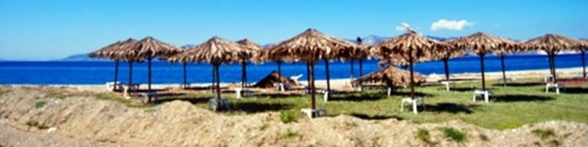 Pefki, in which grow many pines (as the name suggests) , lies in northern Evia and has been developed along a long beach. Pefki is about 114 km away from Chalkida. For years the area is known as a  resort and is a very popular destination for family vacations. Pefki is highly developed, and along the beach you will find many restaurants and cafes.