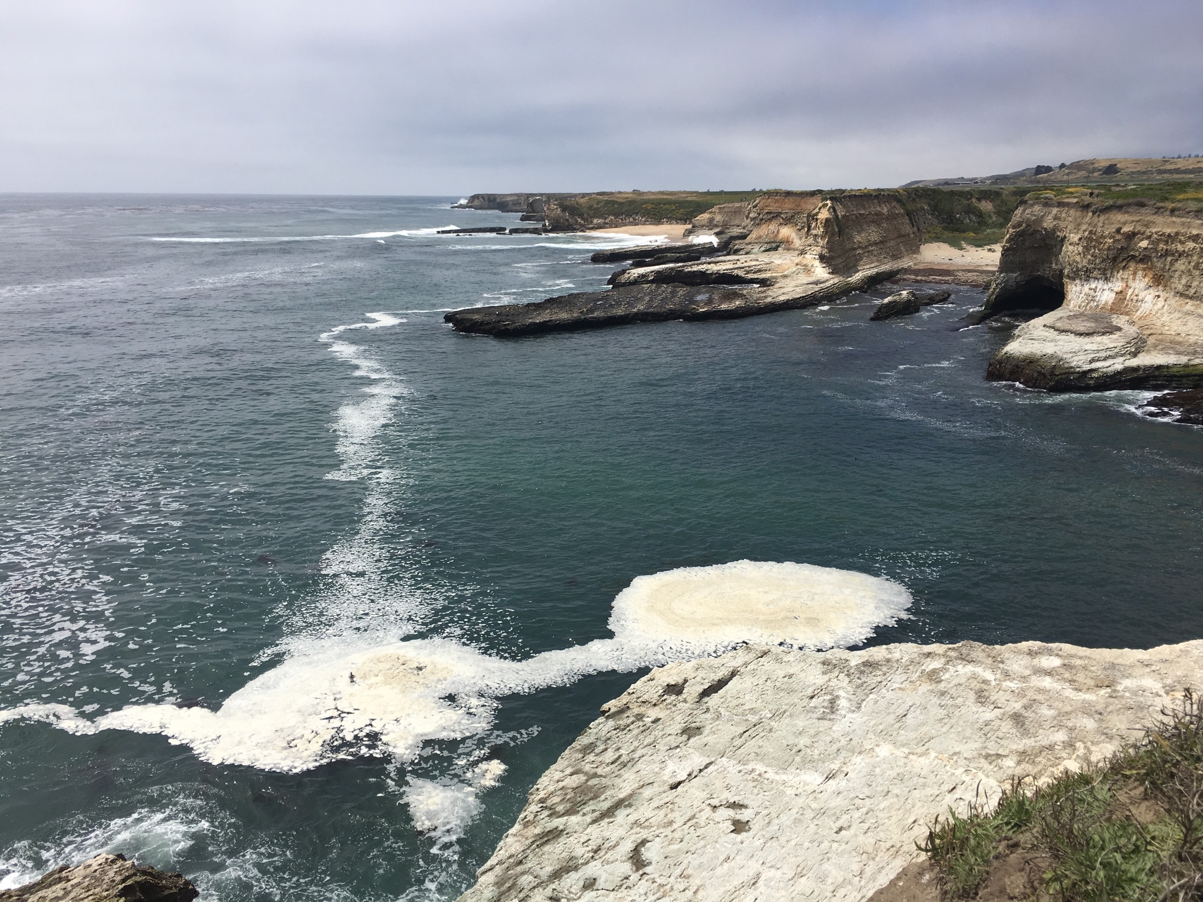 Wilder Ranch State Park in Santa Cruz Tours and Activities