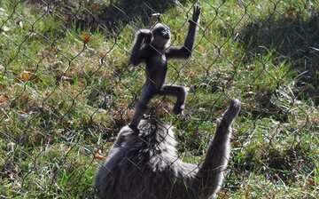 Visit Greensboro Science Center in Greensboro | Expedia