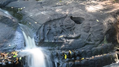 Many carvings along the river.