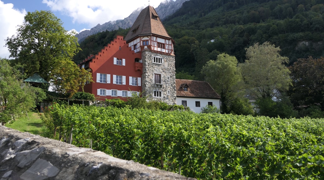 Red House, Vaduz, Liechtenstein