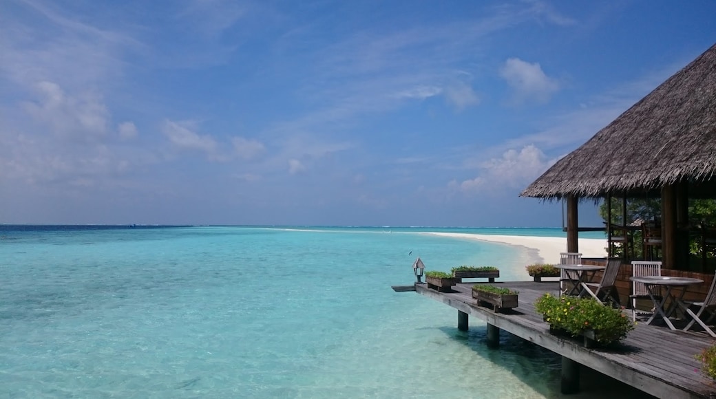 Insel Gangehi, Nord-Ari-Atoll, Malediven