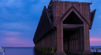 Default Image