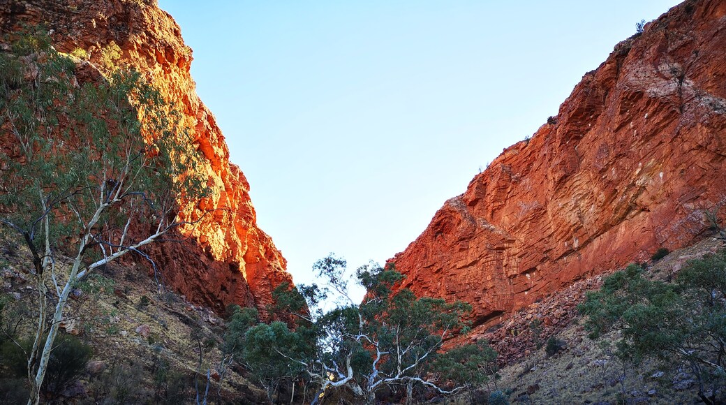 Simpsons Gap, Burt Plain, Northern Territory, Australia