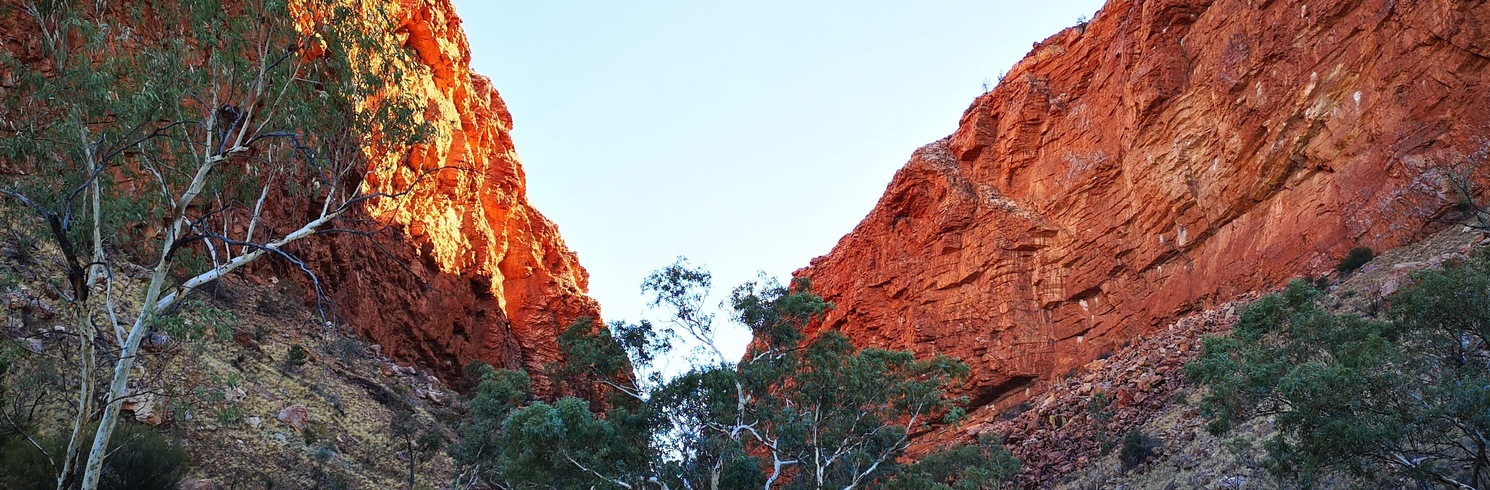 Burt Plain, Northern Territory, Australia