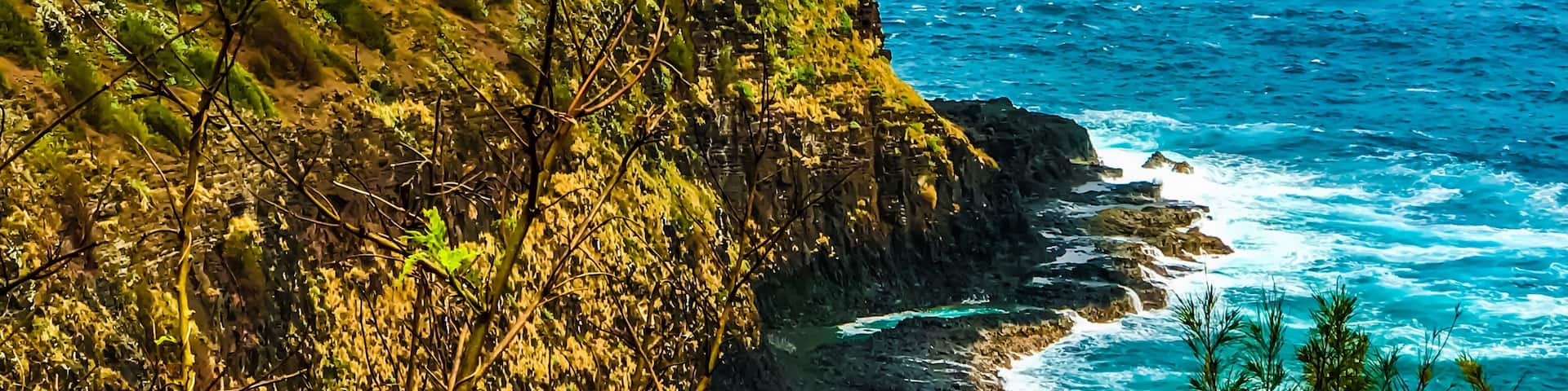 The Kīlauea Lighthouse Park is a beautiful place to visit, as long as you’re not there on a Sunday! We could only view it from afar. #kauai