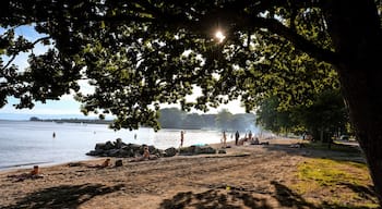 Vidy beach, on Lake Geneva, is located just minutes from downtown Lausanne. All services are nearby, from BBQ spots to beach volleyball, basketball etc. There’s also an adjacent campground and a youth hostel is about a 5min walk.
Very relaxing atmosphere. #beachtips #LikeALocal