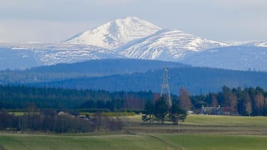 Snow covered peaks of the Cairngorm mountains.
