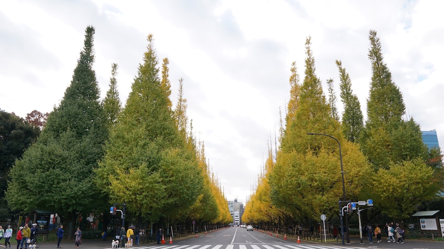 Taman Luar Kuil Meiji