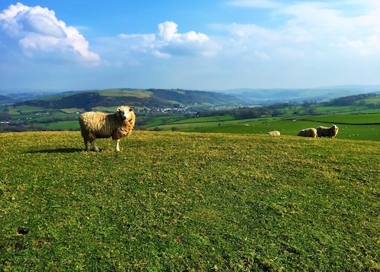Aberystwyth, Storbritannia