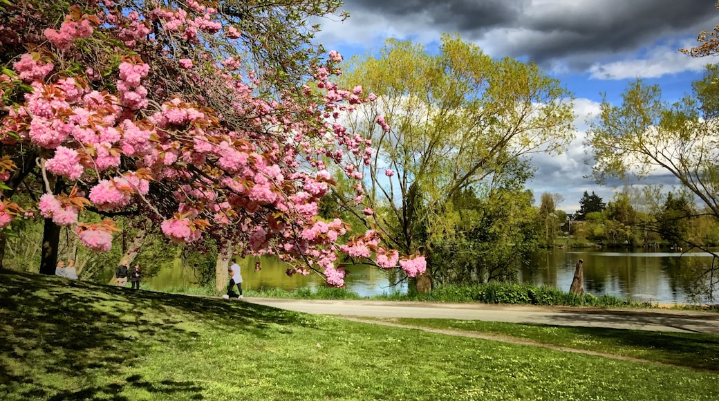 Photo de  Sophia Field