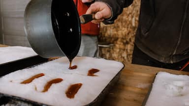 Tour the Esson Creek Maple operation in Haliburton, ON. Sample local syrups and snack on a maple snow pop!