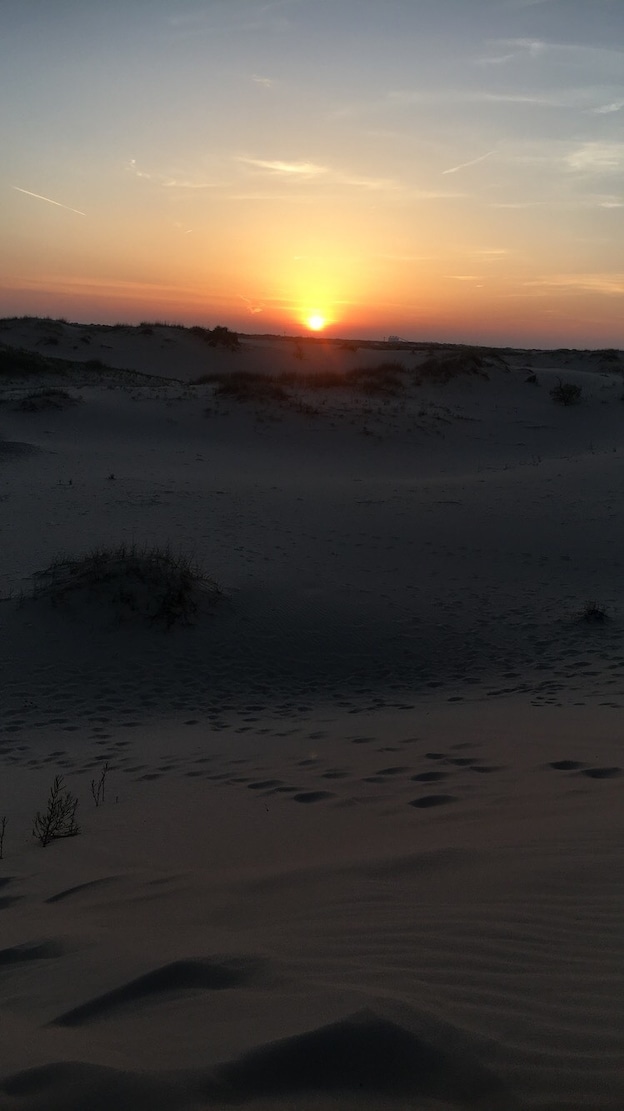 #Adventure
The most beautiful moments are the ones you stumble upon on a hot Texas sandhill.