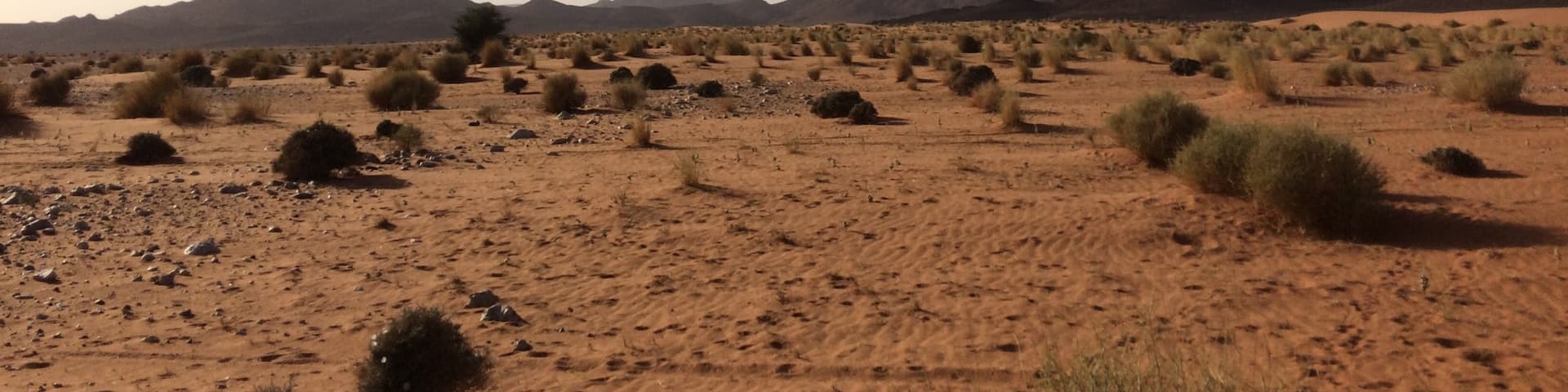 In the desert near Ramlia village🇲🇦