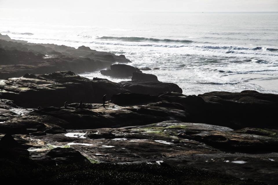 The rugged and awesomely beautiful coastline of Oregon from Yachats. It's much emptier in winter, and although you won't see whales at this time of year, you do get sea lions body surfing to the high and crazy incoming tides.